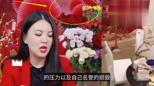 房东爆料直播视频大全最新,最新视频大全深度解析